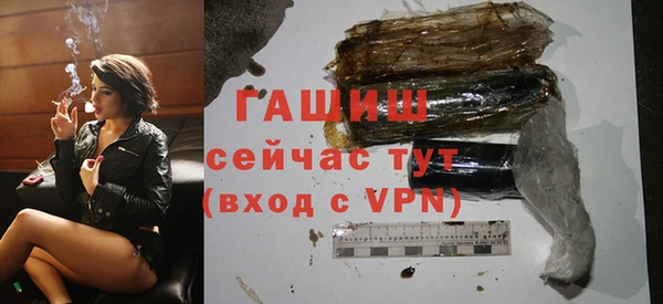шишки Покачи