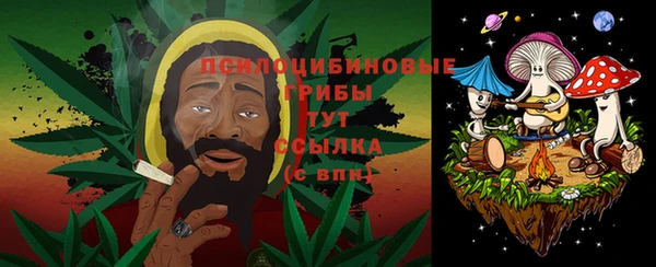 ПСИЛОЦИБИНОВЫЕ ГРИБЫ Армянск