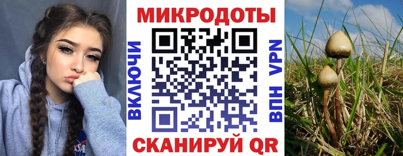 Галлюциногенные грибы Cubensis  что такое   Горячеводский 