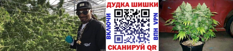 Шишки марихуана семена  как найти закладки  Горячеводский 